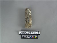 藏品(鹿角)的圖片