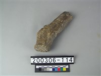 藏品(鹿角)的圖片