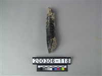 藏品(鹿角)的圖片