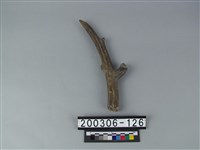 藏品(四不像角)的圖片