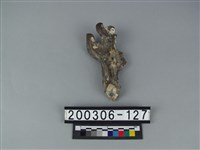 藏品(四不像角)的圖片