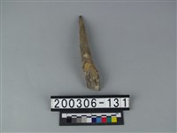 藏品(四不像角)的圖片