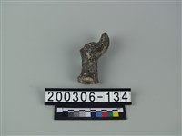 藏品(四不像角)的圖片