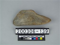 藏品(牛骨（部位不明）)的圖片