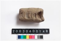 藏品(腸)的圖片