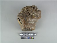 藏品(象齒)的圖片