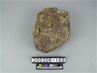 藏品(象齒)的圖片