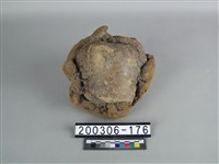 藏品(象骨（部位不明）)的圖片