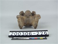 藏品(牛脊椎骨)的圖片