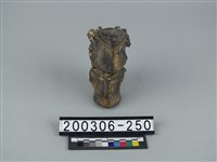 藏品(鹿脊椎骨)的圖片