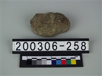 藏品(象骨片（部位不明）)的圖片