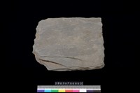 藏品(北端板)的圖片