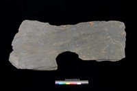 藏品(東側板)的圖片