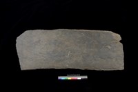 藏品(蓋板)的圖片