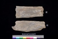 藏品(石板)的圖片