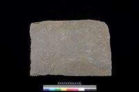 藏品(南端板)的圖片