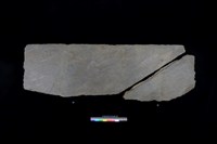 藏品(西側板)的圖片