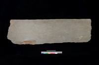 藏品(東側板)的圖片