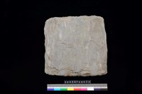 藏品(北端板)的圖片