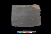 藏品(北端板)的圖片