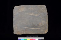 藏品(南端板)的圖片