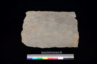 藏品(南端板)的圖片