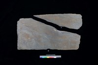 藏品(石板)的圖片