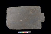 藏品(石板)的圖片