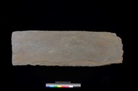 藏品(東側板)的圖片