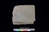 藏品(南端板)的圖片