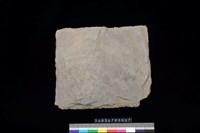 藏品(石板)的圖片