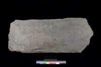 藏品(東側板)的圖片