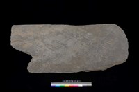 藏品(西側板)的圖片