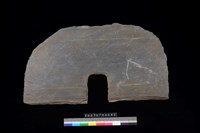 藏品(底板)的圖片