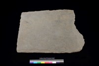 藏品(北端板)的圖片