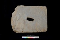 藏品(北端板)的圖片