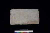 藏品(北端板)的圖片