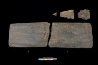 藏品(西側板)的圖片