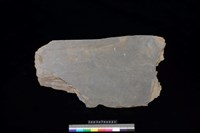 藏品(東側板)的圖片