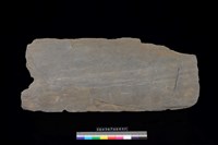 藏品(石板)的圖片