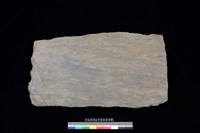 藏品(東側板)的圖片