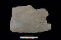 藏品(西側板)的圖片