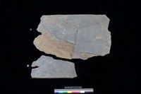 藏品(東側板)的圖片