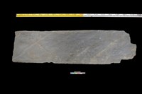 藏品(東側板)的圖片