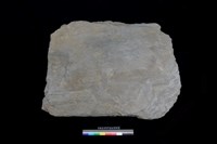 藏品(北端板)的圖片