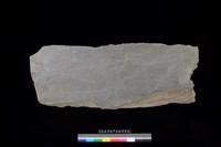 藏品(西側板)的圖片