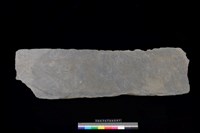 藏品(底板)的圖片