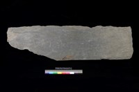 藏品(西側板)的圖片