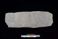 藏品(石板)的圖片