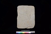 藏品(南端板)的圖片